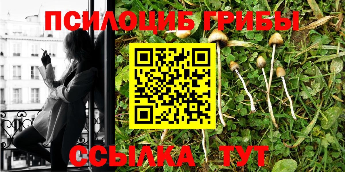 Ртищево  Псилоцибиновые грибы Cubensis  где купить наркотик  Вход с VPN 